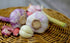 GARLIC BULBS Mixed