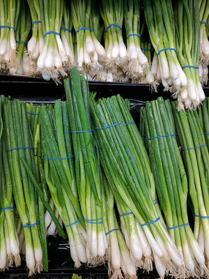 SPRING ONION 'Grandstand' seeds