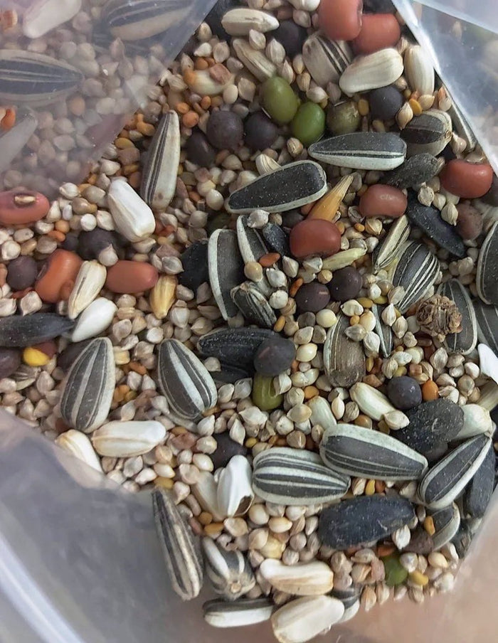 GREEN MANURE MIX - Tropical / Sub Tropical Mix seeds