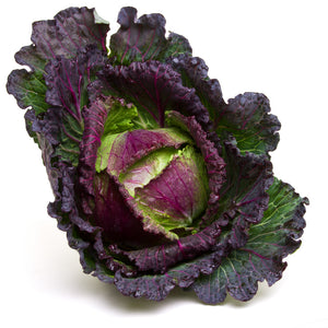 CABBAGE 'Purple Savoy' seeds