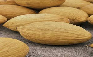 ROCKMELON 'Banana' seeds
