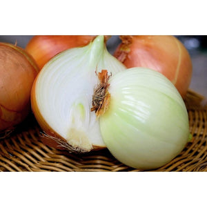 ONION 'Early Texas Grano' - Boondie Seeds