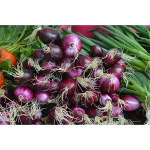 ONION MINI 'Purplette' - Boondie Seeds