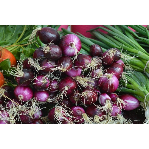 ONION MINI 'Purplette' seeds *Pickling / Pearl onion*