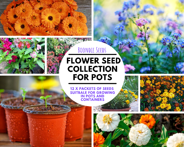 FLOWER SEEDS FOR POTS AND CONTAINERS collection - 12 packets
