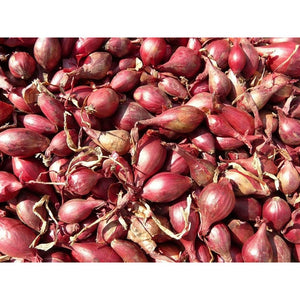 ONION 'Red Tropea Long' / Cipolla Rossa di Tropea - Boondie Seeds