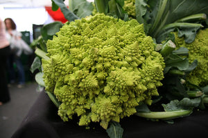 BROCCOLI 'Romanesco' / Romanesque cauliflower / Broccolo seeds