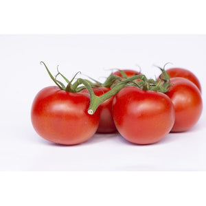 TOMATO Red Russian seeds