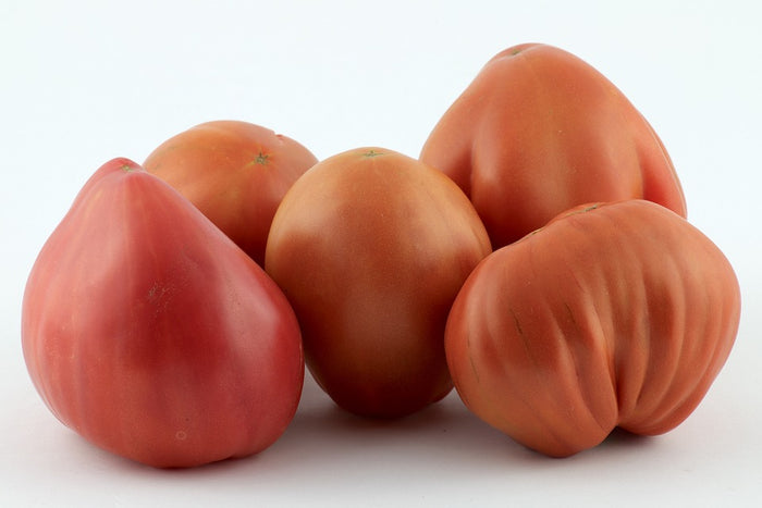 TOMATO 'Pink Oxheart' seeds