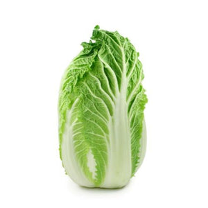 CHINESE CABBAGE  / WONG BOK / WOMBOK 'Mini Head F1' - Boondie Seeds